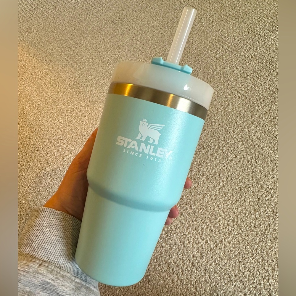 Stanley Aqua 20oz